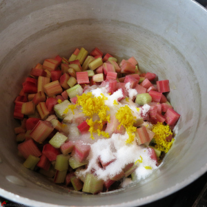 Creamy-Rhubarb-Dessert-2